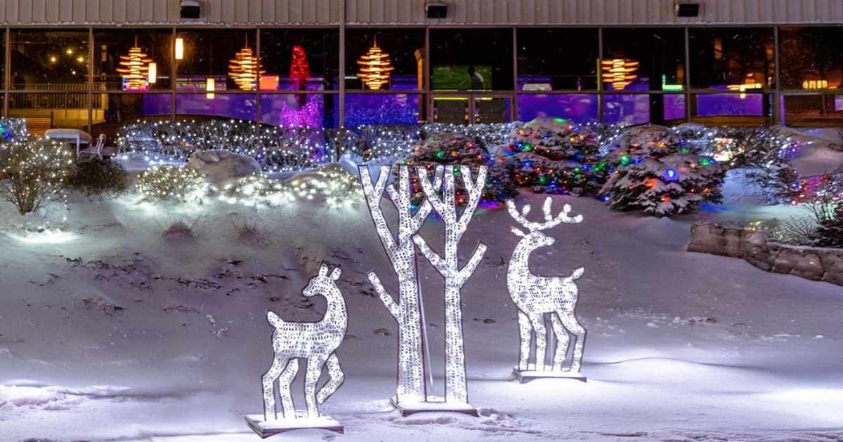 Reindeer Scene: 